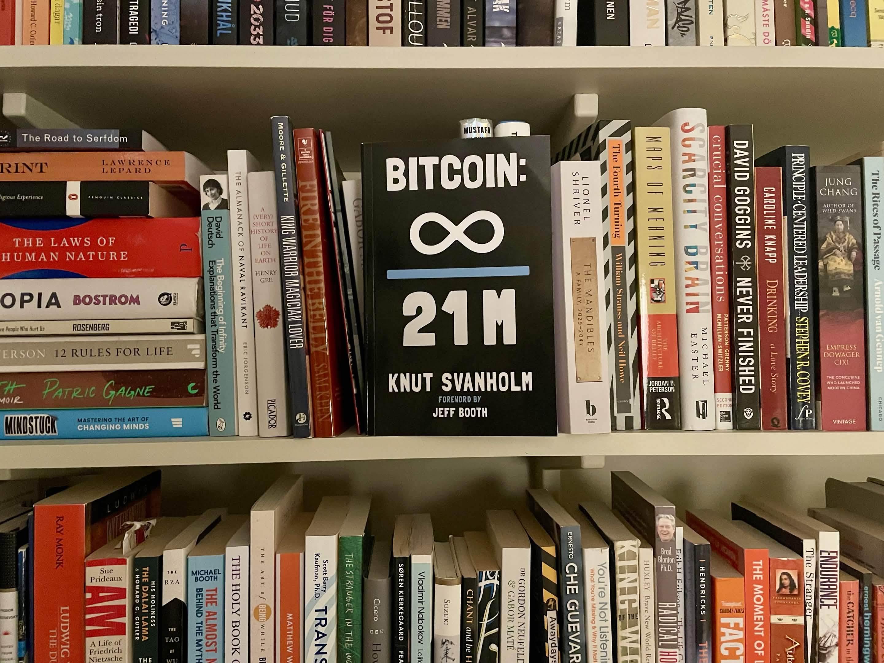 Bitcoin: Everything Divided by 21 Million by Knut Svanholm — BookLab by Bjorn