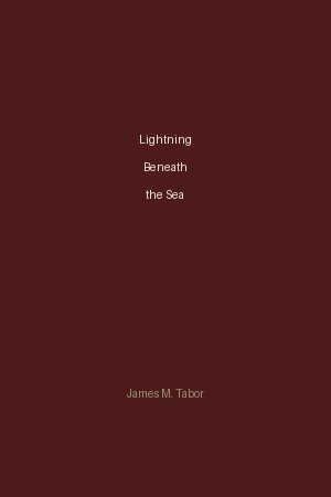 Lightning Beneath the Sea by James M. Tabor
