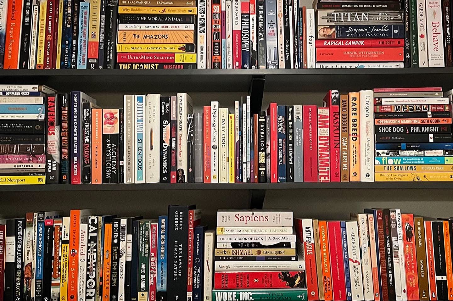 Bookshelf
